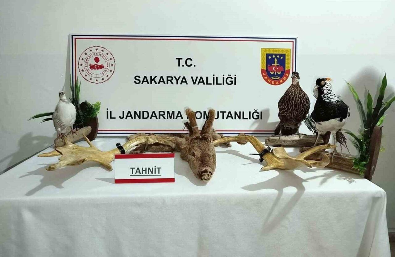 Sakarya’nın Geyve ilçesinde kaçakçılık ve hayvanlara karşı işlenen suçlarla mücadele