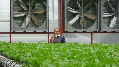 Trabzon’un Yomra ilçesinde yatırımcı Elif Çakıroğlu’nun 6 yıl önce Amerika’ya