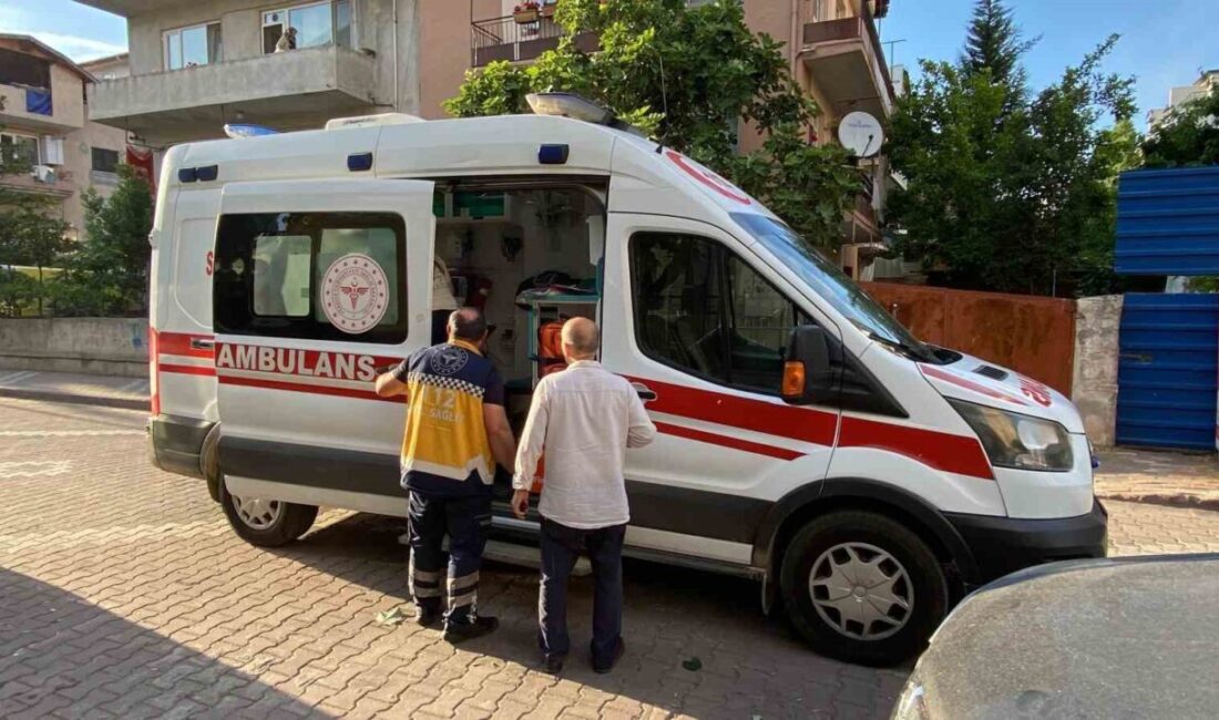 Kocaeli’nin İzmit ilçesinde ıhlamur toplamak için ağaca çıkan ve dengesini