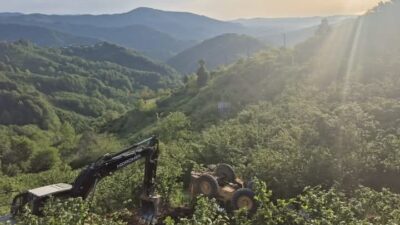 Zonguldak’ın Alaplı ilçesinde kontrolden çıkan iş makinesinin şarampole devrildiği kazada