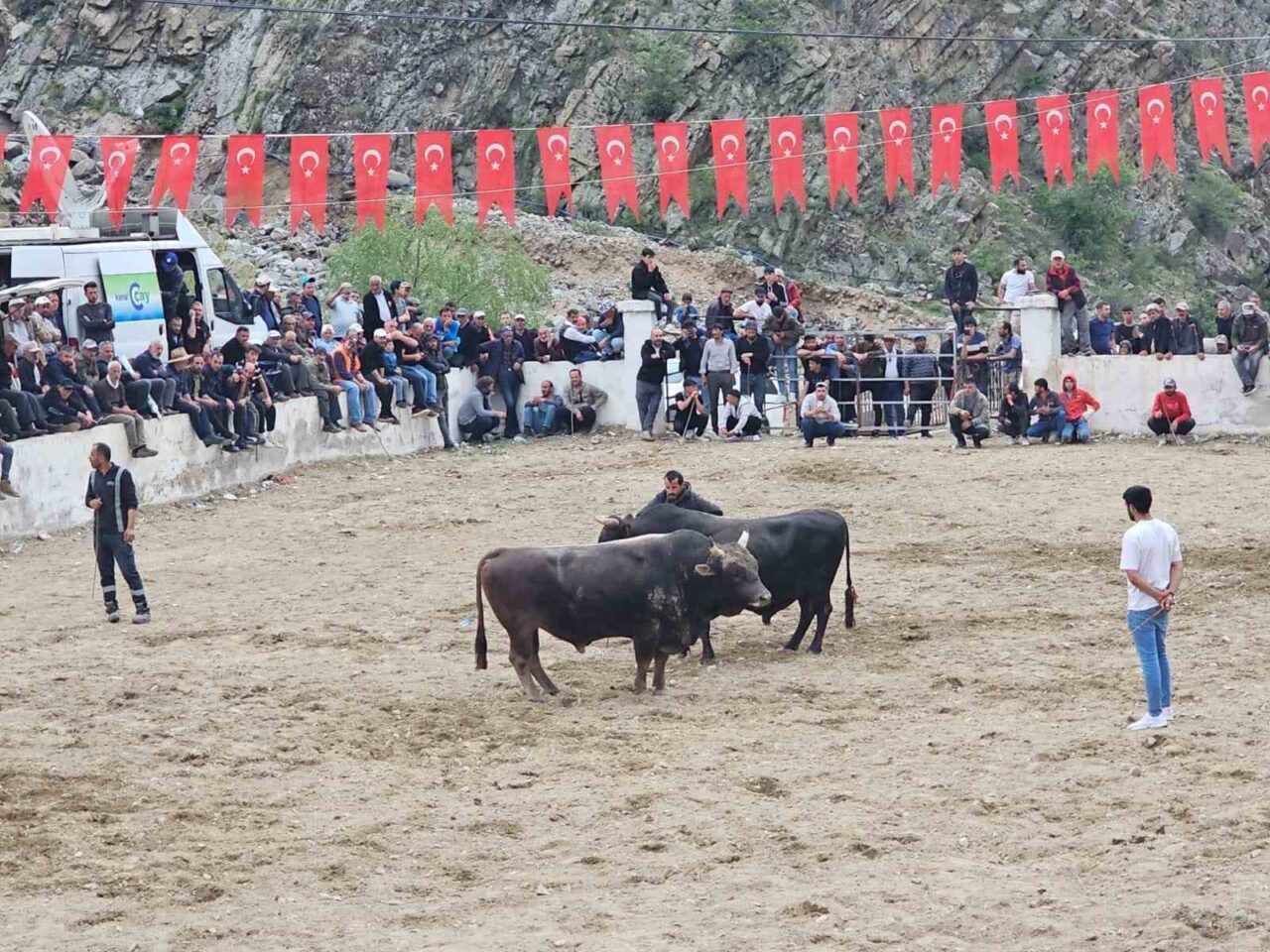 Erzurum’un İspir ilçesinde düzenlenen boğa güreşleri sırasında boğa sahipleri arasında