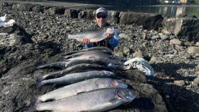 Trabzon’un Vakfıkebir ilçesi açıklarında bulunan kafeslerden geçtiğimiz hafta başlayan somon