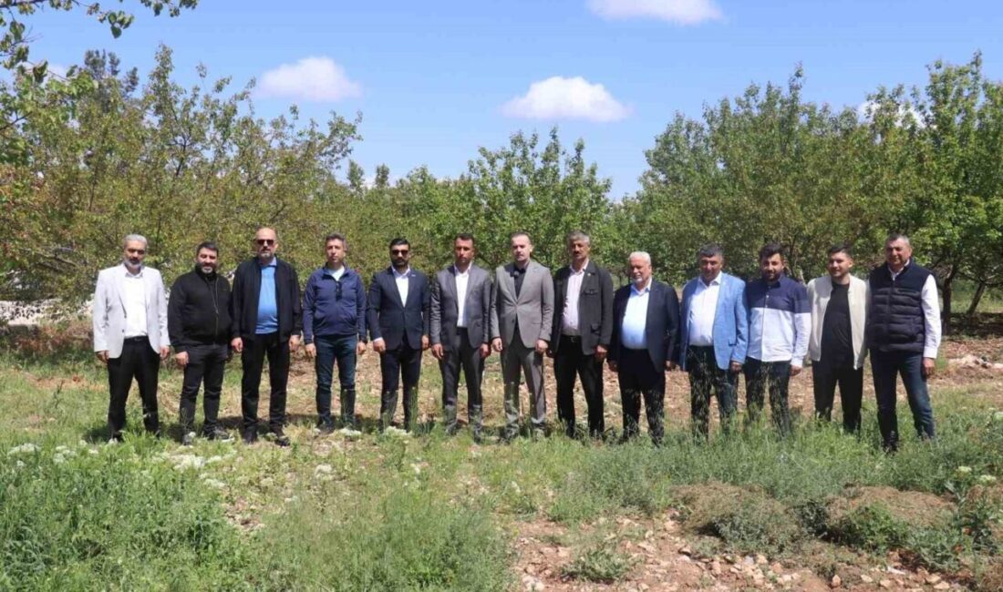 Malatya Girişimci İş İnsanları Derneği (MAGİNDER), zirai dondan zarar gören