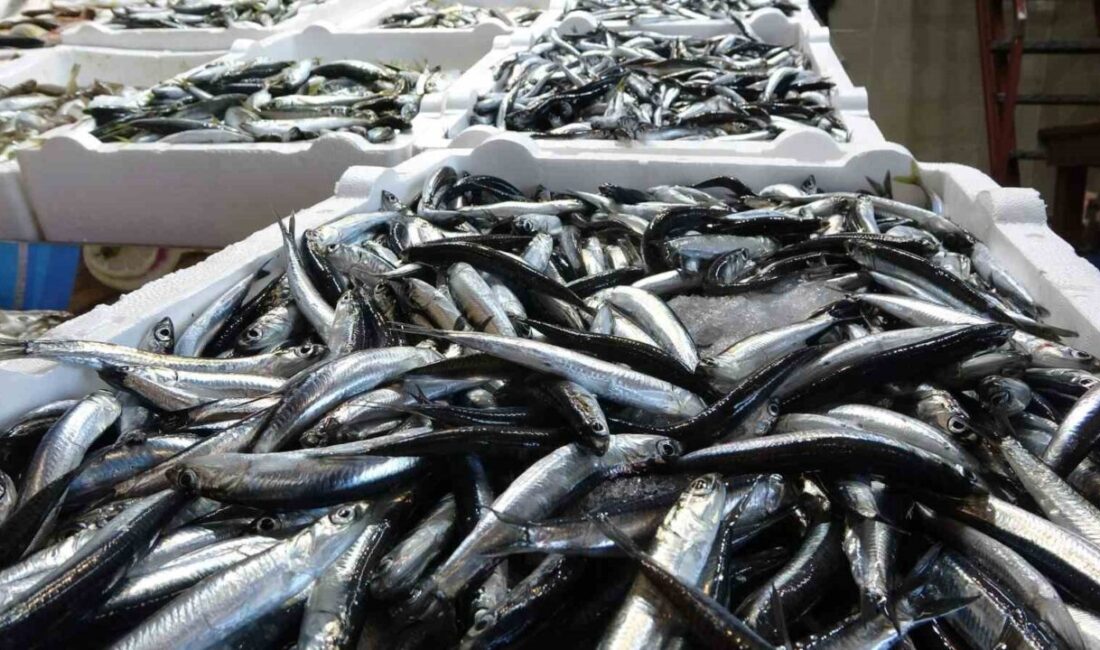 Geçtiğimiz balık avı sezonunda Karadeniz’de son yılların en bereketli sezonu