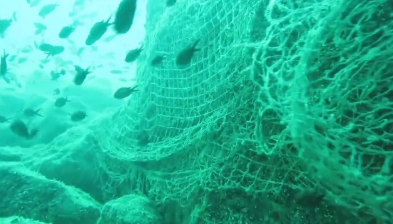 Su altı kamerasına yansıyan hayalet ağların görüntüsü Karadeniz’in ciddi anlamda