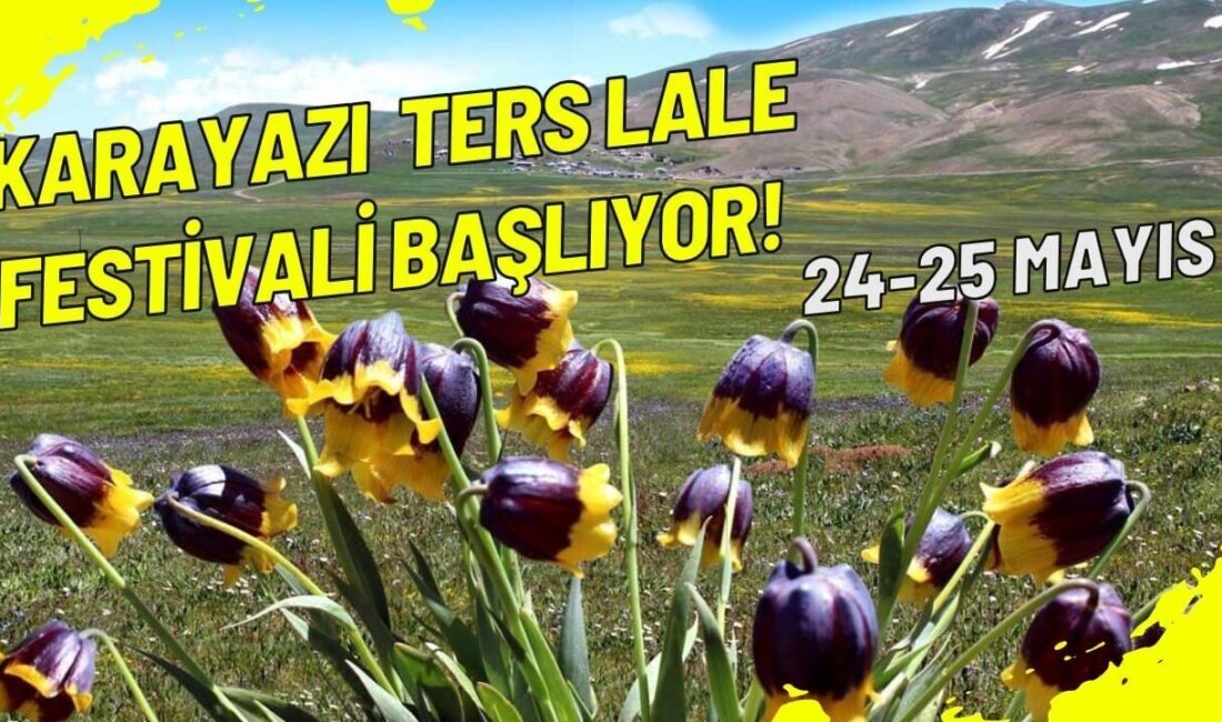 Karayazı ters lale festivali başlıyor; Erzurum’un Karayazı ilçesi, 24-25 Mayıs tarihleri arasında eşsiz doğası ve