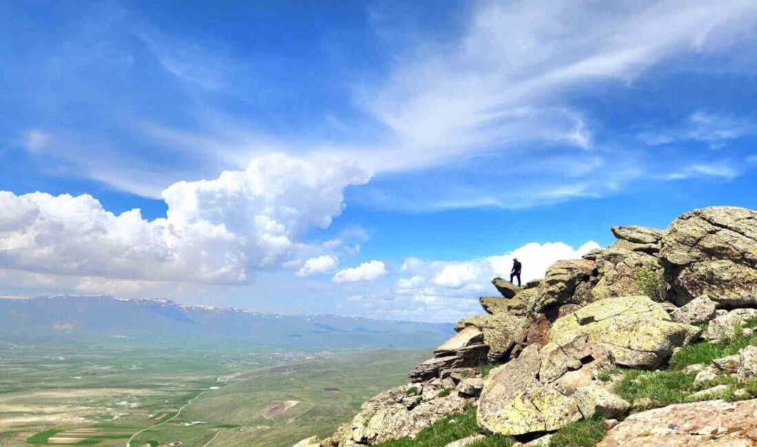 Türkiye Dil ve Edebiyat Derneği Erzurum Şube Başkanı Murat Ertaş,