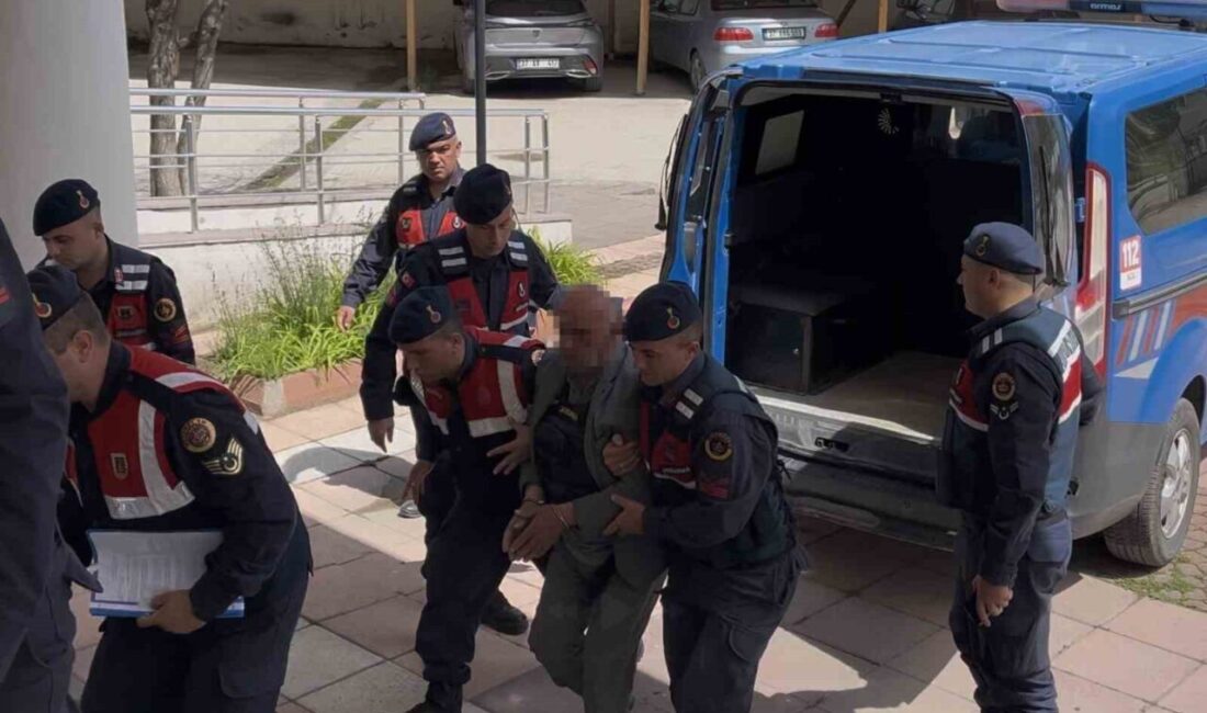 Kastamonu’nun Taşköprü ilçesinde husumetli olduğu karı-kocayı silahla vurarak öldüren cinayet