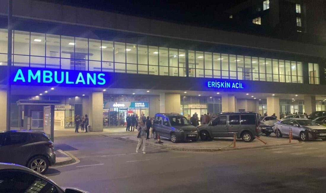 Kocaeli’nin Derince ilçesinde evinde silahla karnından vurulan bir kadın yaralandı.