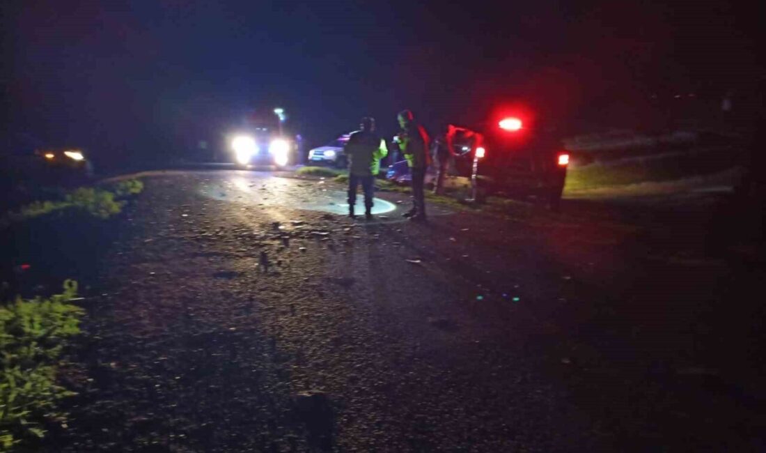 Kars’ta 2 hafif ticari aracın çarpışmasıyla meydana gelen trafik kazasında