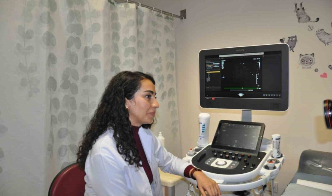 Kars Harakani Devlet Hastanesi Çocuk Kardiyoloji Servisi 9 ayda kendisini