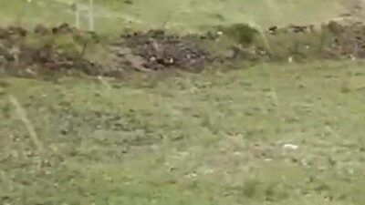Kars’ta etkili olan şiddetli rüzgar hayatı olumsuz etkiledi. Kentte saatte