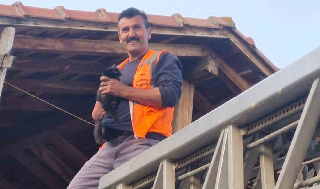 Kastamonu’nun Hanönü ilçesinde çıktığı çatıda mahsur kalan kediyi itfaiye ekipleri
