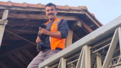 Kastamonu’nun Hanönü ilçesinde çıktığı çatıda mahsur kalan kediyi itfaiye ekipleri