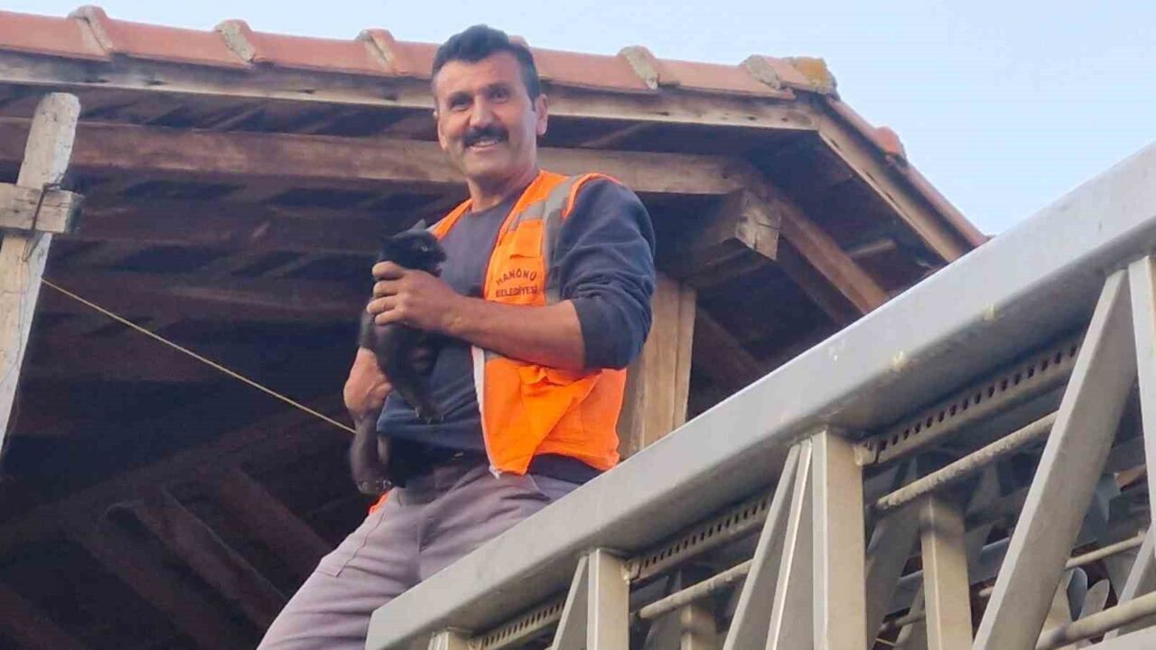Kastamonu’nun Hanönü ilçesinde çıktığı çatıda mahsur kalan kediyi itfaiye ekipleri