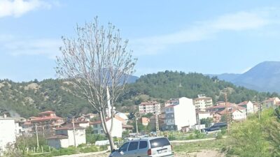 KASTAMONU (İHA) – Kastamonu’nun Hanönü ilçesinde kontrolden çıkan otomobilin ağaca