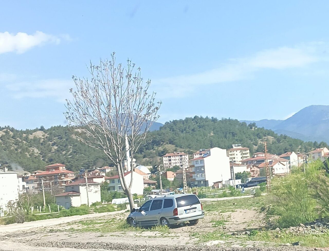 KASTAMONU (İHA) – Kastamonu’nun Hanönü ilçesinde kontrolden çıkan otomobilin ağaca