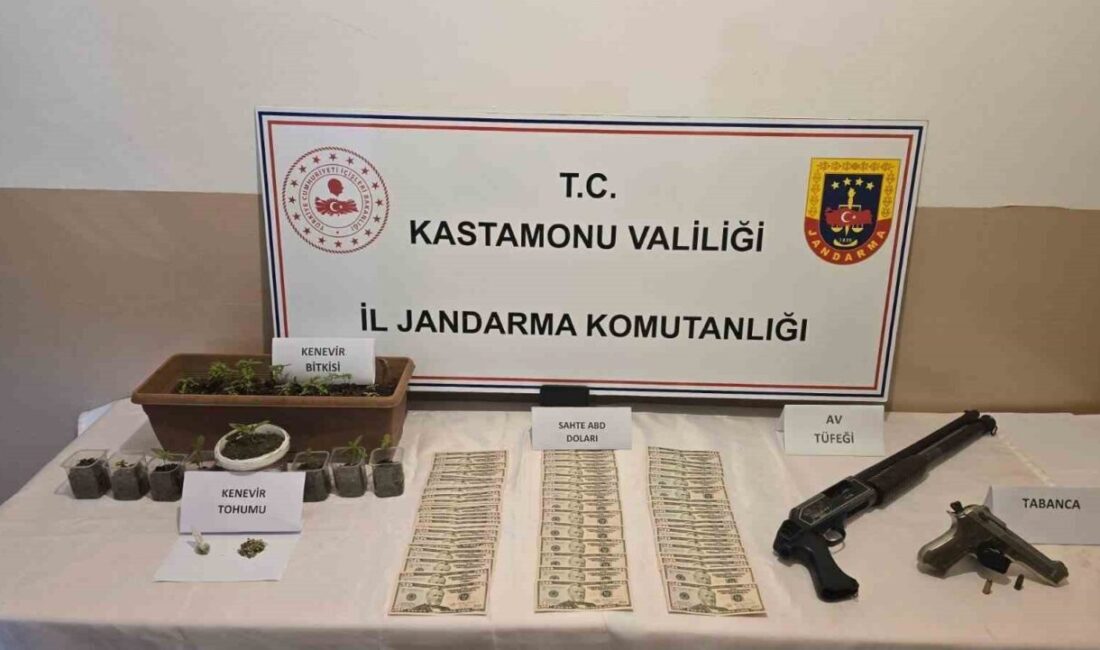 Kastamonu’da jandarma ekiplerince gerçekleştirilen operasyonda 1 kişi gözaltına alındı. Edinilen