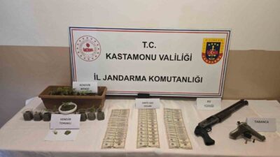 Kastamonu’da jandarma ekiplerince gerçekleştirilen operasyonda 1 kişi gözaltına alındı. Edinilen