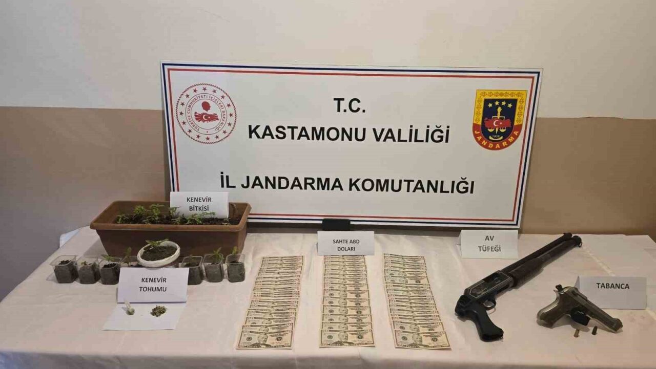 Kastamonu’da jandarma ekiplerince gerçekleştirilen operasyonda 1 kişi gözaltına alındı. Edinilen