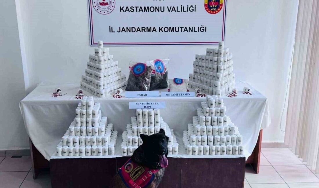 Kastamonu’da jandarma ekipleri tarafından düzenlenen uyuşturucu operasyonunda 69 bin 407