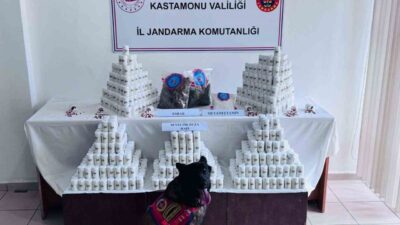 Kastamonu’da jandarma ekipleri tarafından düzenlenen uyuşturucu operasyonunda 69 bin 407