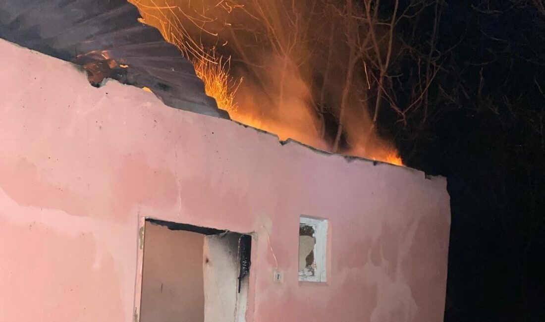 Erzincan’ın Kemah ilçesi Sürek köyünde bir evde çıkan yangın itfaiyenin