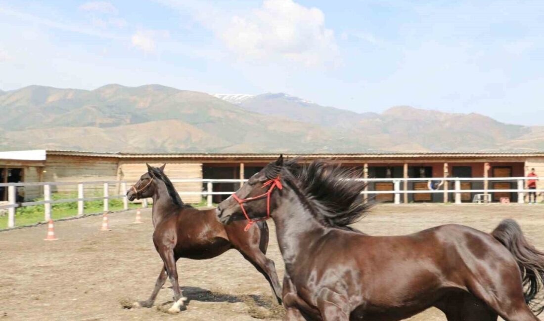 Erzincan Tarım ve Orman İl Müdürü Alper Koçaker, TKDK’dan sağlanan