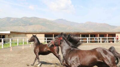 Erzincan Tarım ve Orman İl Müdürü Alper Koçaker, TKDK’dan sağlanan