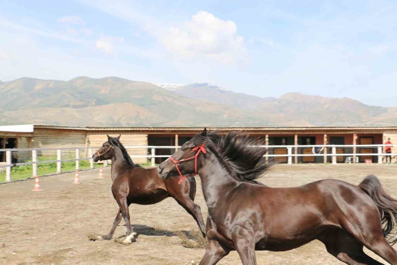 Erzincan Tarım ve Orman İl Müdürü Alper Koçaker, TKDK’dan sağlanan