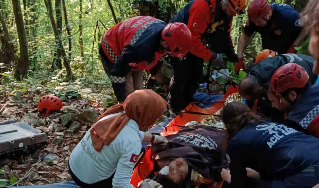 Sakarya’nın Sapanca ilçesinde sürücüsünün direksiyon hakimiyetini kaybetmesi neticesinde kontrolden çıkan