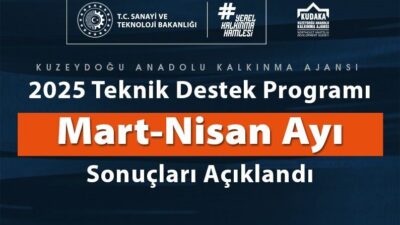 2025 Yılı Teknik Destek Programı 2. dönem başvuruları değerlendirme süreci