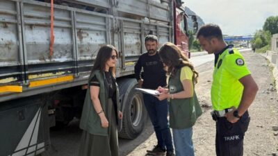 Erzincan’ın Tercan ilçesinde, Kurban Bayramı öncesi kurbanlık hayvan sevkiyatlarına yönelik