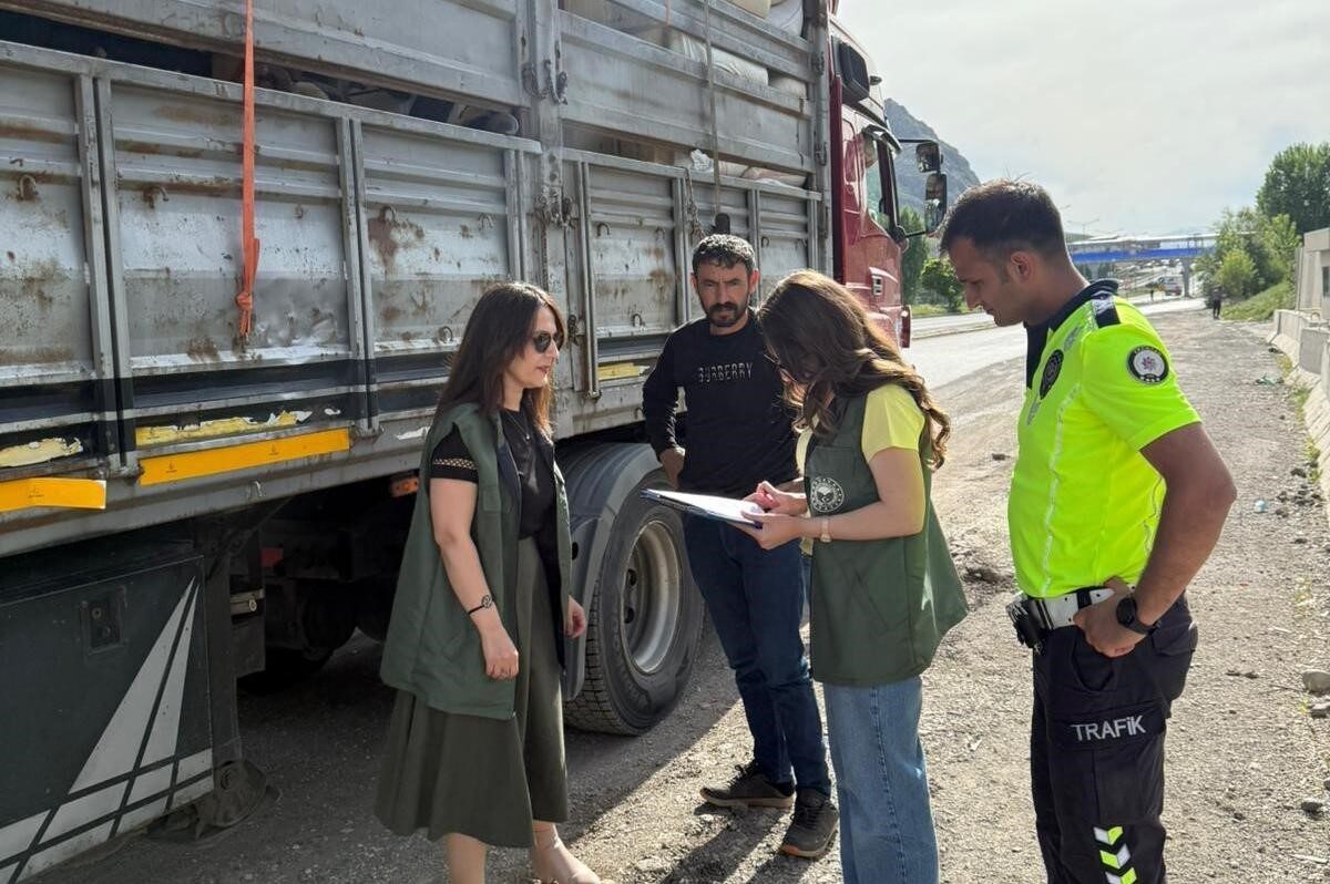 Erzincan’ın Tercan ilçesinde, Kurban Bayramı öncesi kurbanlık hayvan sevkiyatlarına yönelik