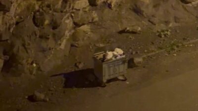 Erzurum’un İspir ilçe merkezine inen kurtlar çöp alanında yiyecek aradı.