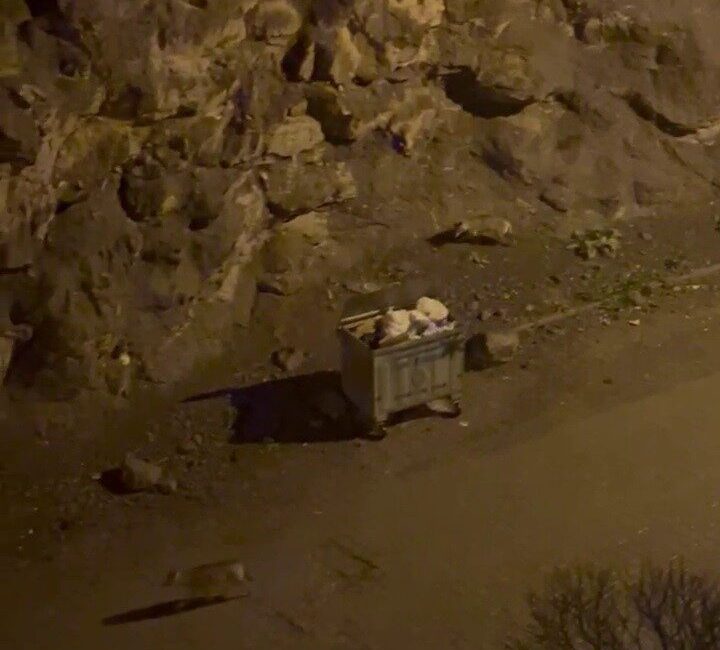 Erzurum’un İspir ilçe merkezine inen kurtlar çöp alanında yiyecek aradı.