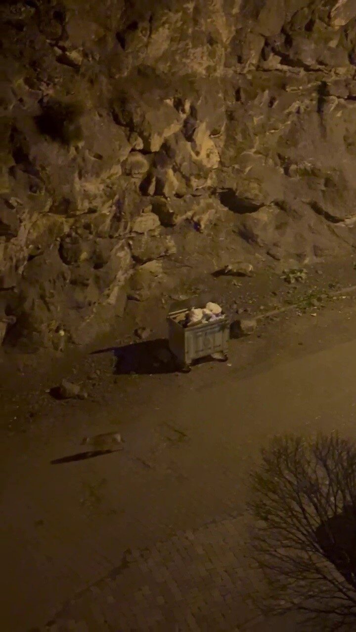 Erzurum’un İspir ilçe merkezine inen kurtlar çöp alanında yiyecek aradı.