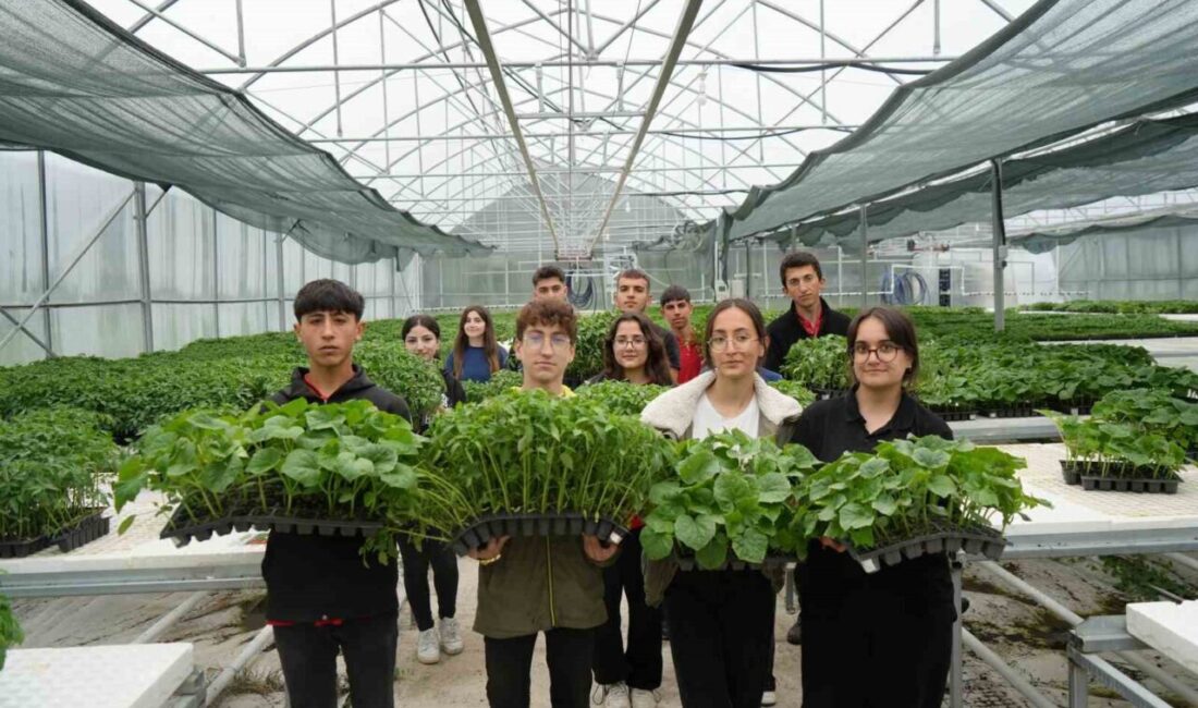 Erzincan Gül Celal Toraman Mesleki ve Teknik Anadolu Lisesi Tarım
