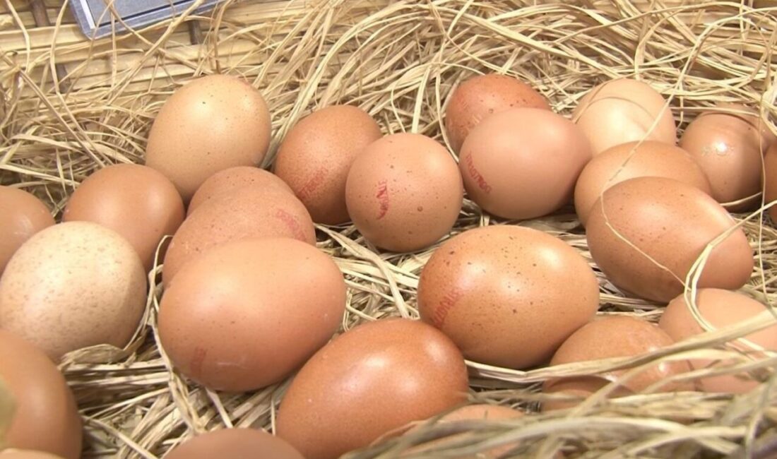 Mart ayında yıllık tavuk yumurtası üretimi yüzde 8,8 azaldı Mart ayında bir önceki yılın aynı ayına göre, tavuk yumurtası