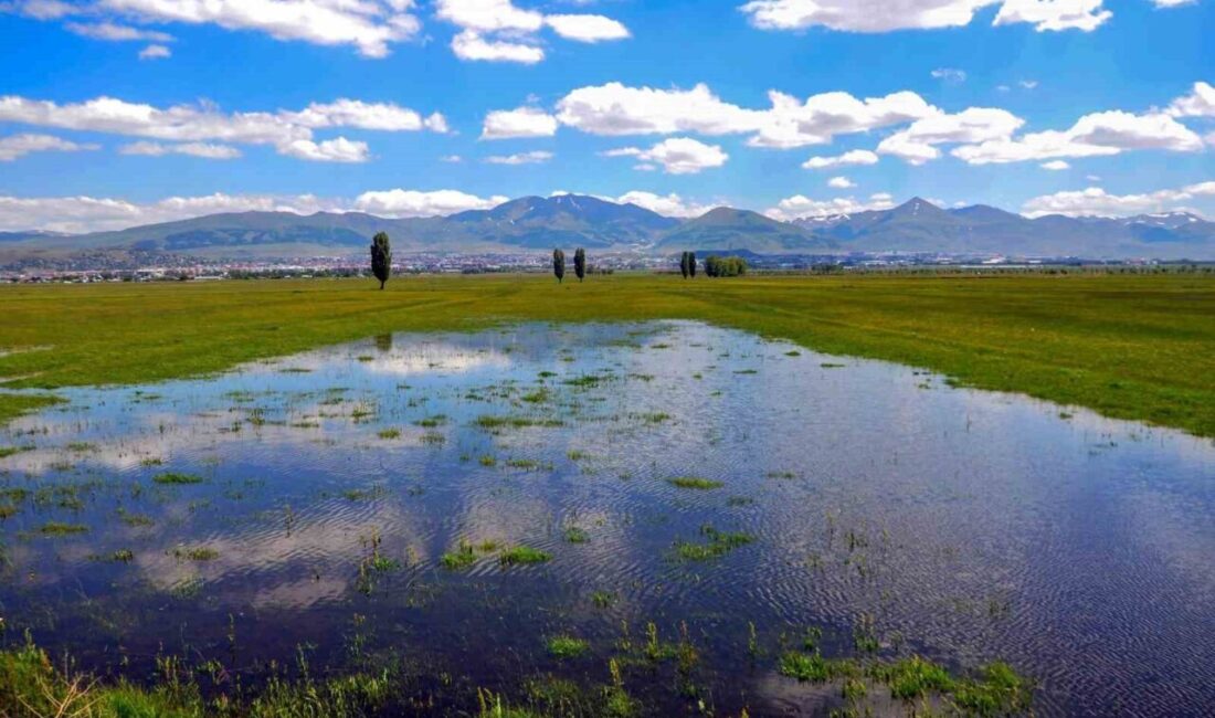 Meteorolojiden yağış uyarısı Meteoroloji 12.Bölge Müdürlüğü, bölge geneli için yağış ve rüzgar uyarısında