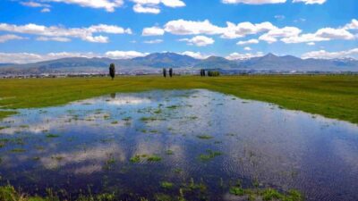 Meteoroloji 12.Bölge Müdürlüğü, bölge geneli için yağış ve rüzgar uyarısında
