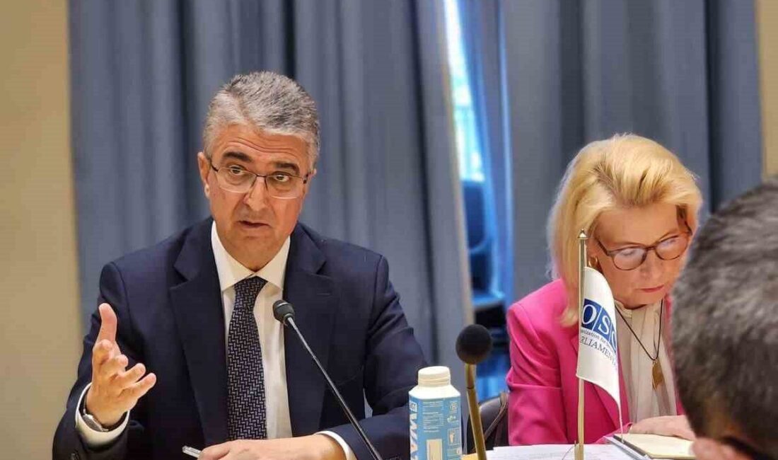 Avrupa Güvenlik ve İşbirliği Teşkilatı Parlamenterler Asamblesi’nin 2017 yılında artan