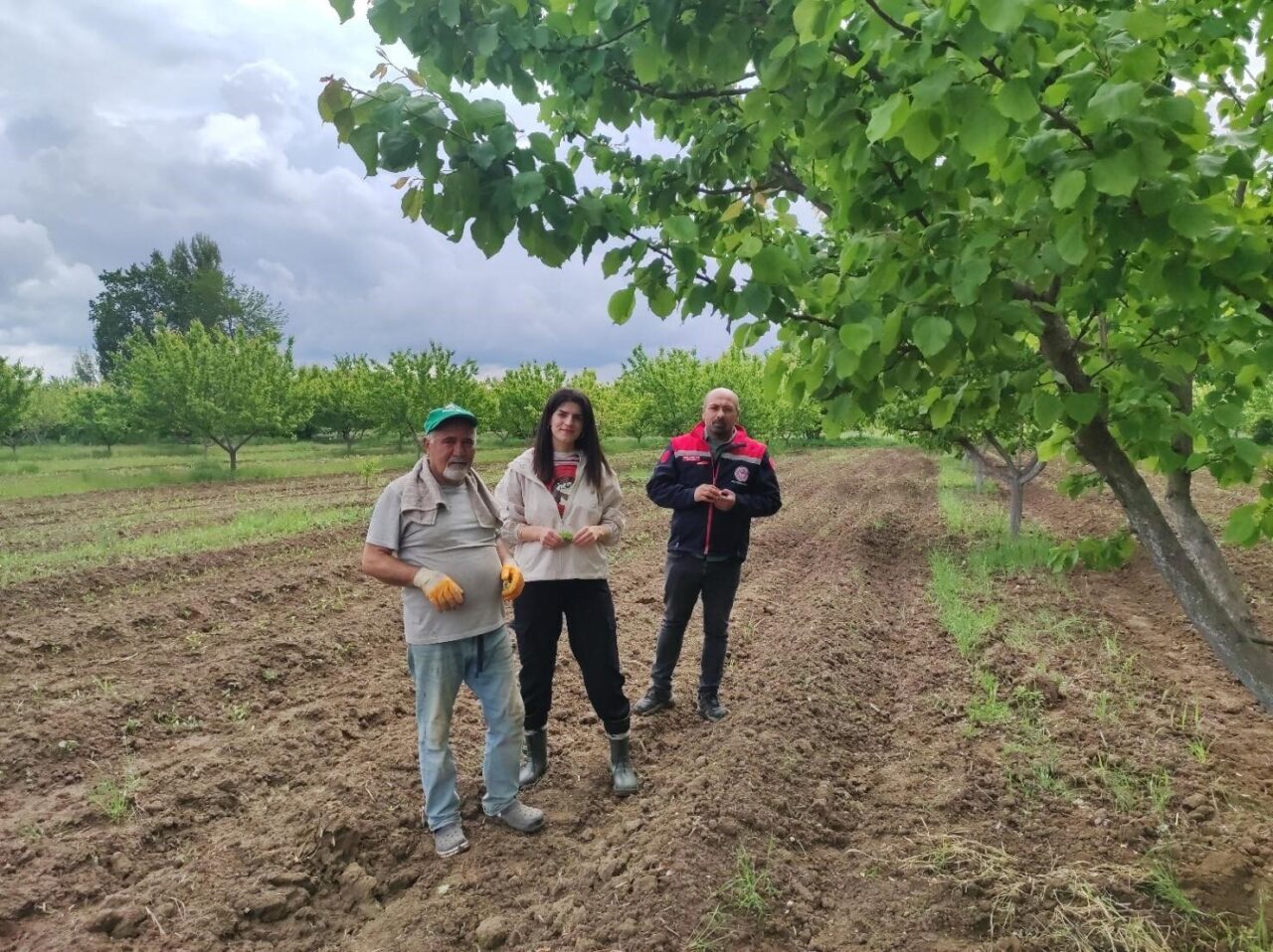 Erzincan Bahçe Kültürleri Araştırma Enstitüsü Müdürlüğünde görevli mühendisler Iğdır’da kayısı