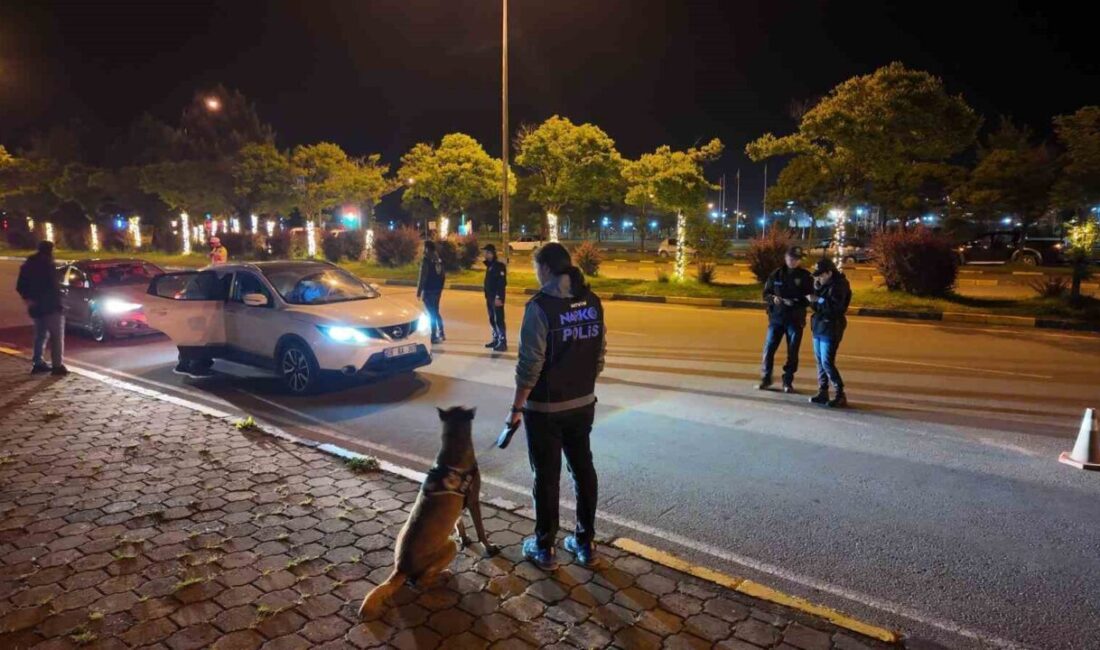 Artvin’de Pars adlı narkotik köpeğinin kentte geniş çaplı uygulamada, uyuşturucuya