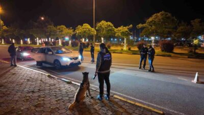 Artvin’de Pars adlı narkotik köpeğinin kentte geniş çaplı uygulamada, uyuşturucuya