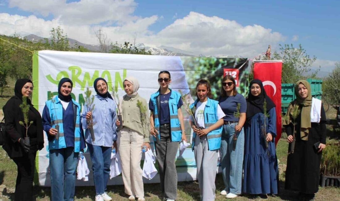 Erzincan’da öğrenciler Esentepe’de ormanı temizledi ve fidan dikti. Erzincan Öğrenci