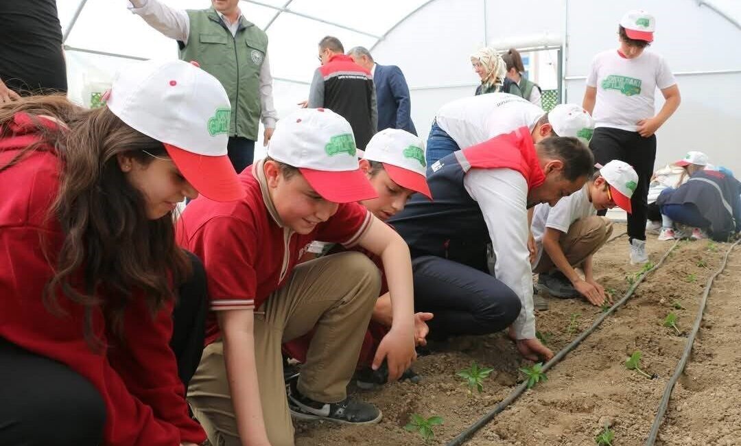 Erzincan’da Demirkent TOKİ İlkokulu’nda sürdürülen “Okuldaki Çiftlik” projesiyle öğrenciler seracılık,