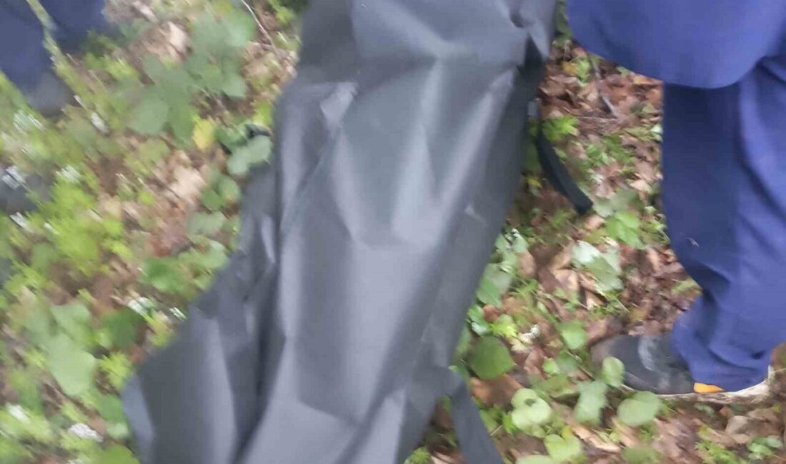 Ordu’nun İkizce ilçesinde 1 aydır kayıp olan görme engelli yaşlı