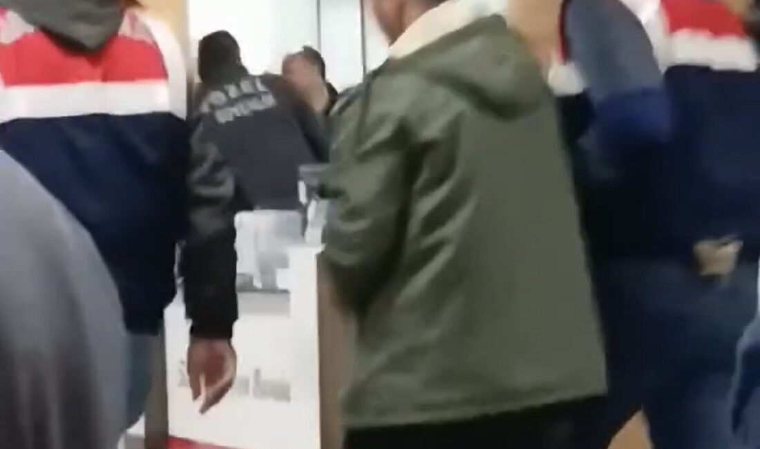 Ordu’nun Çaybaşı ilçesinde 20 yaşındaki genç kadının evinin yanındaki ağaçta