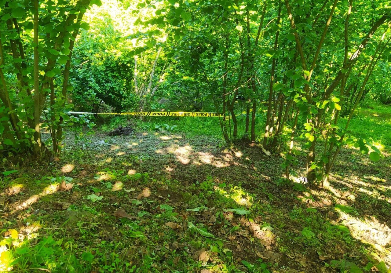 Ordu’nun Çaybaşı ilçesinde yaşlı adam, yakınları tarafından fındık bahçesinde ölü